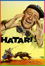 Hatari! İndir