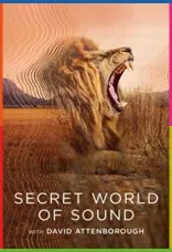 Secret World of Sound 1080p İndir