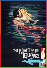 The Night of the Iguana İndir