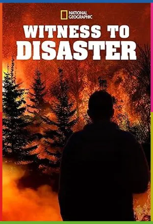 Witness to Disaster 1080p İndir